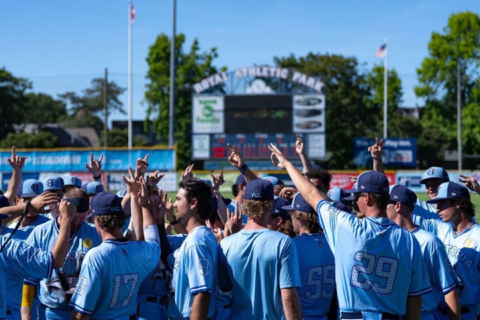 250811-vne-harbourcats
