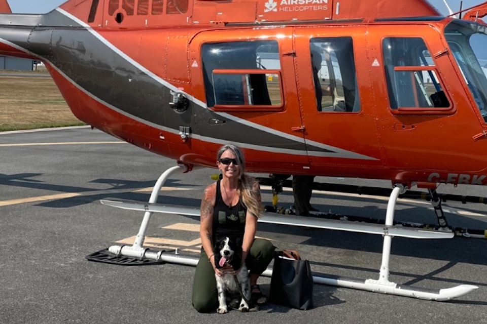 Heidi Wilson and her canine companion tackle the nasty case of bed bugs.