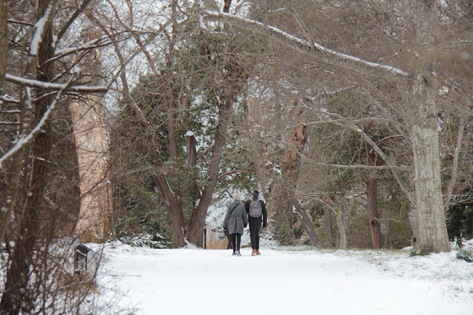 Residents still get out and about as snow abates but temperatures dip and wind arrives bringing a wind chill of -6 to Victoria's Beacon Hill Park on Feb. 4.