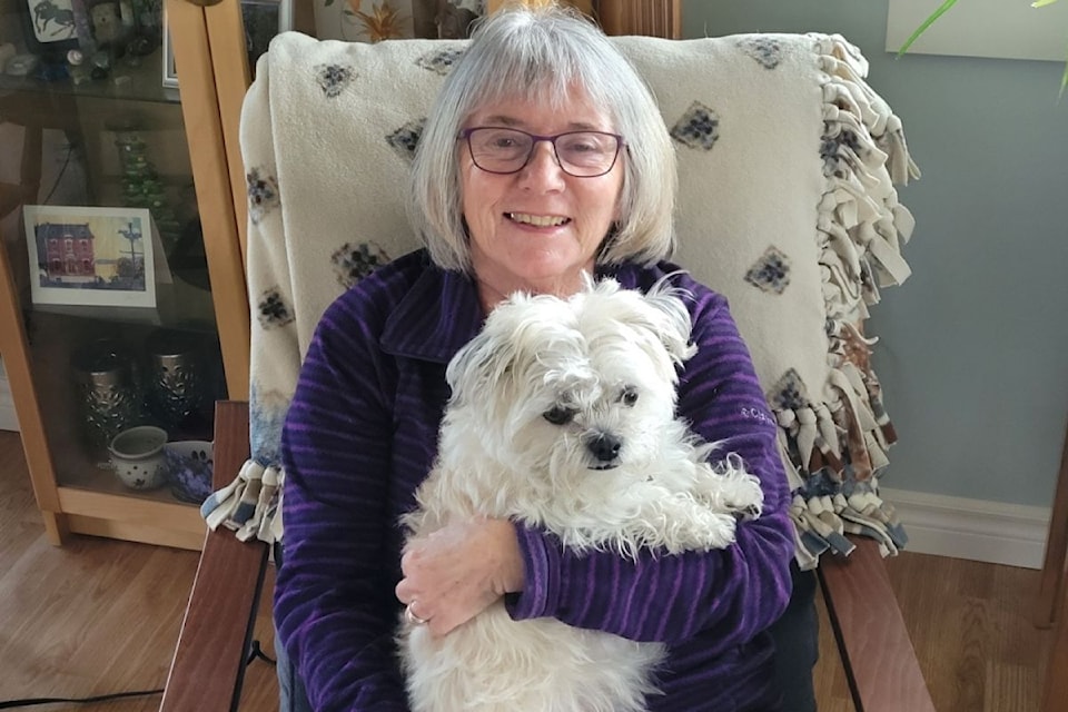 elderdog