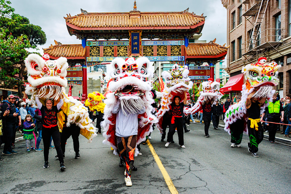 chinese new year chinatown austin chinese new year chinatown austin