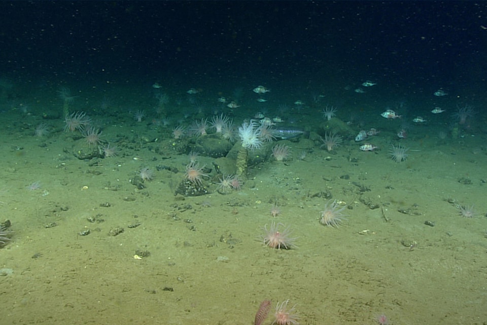 seabed