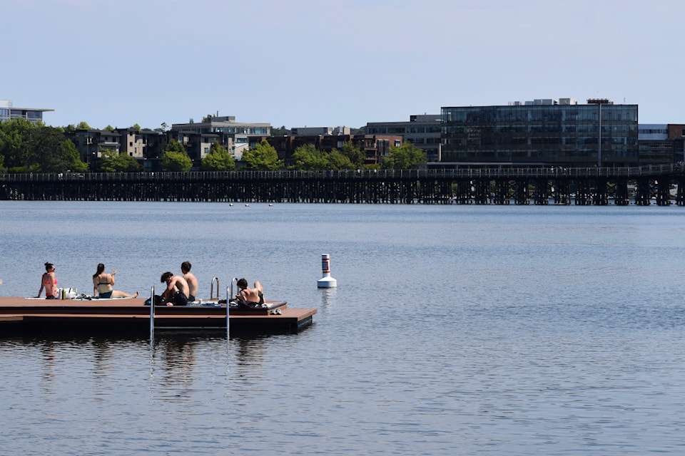 Sunbathers lounge on the Banfield Park dock.