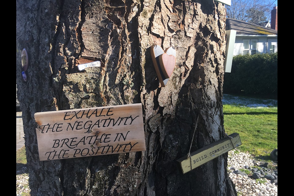 Trees talk – sort of – with hopeful and uplifting notes to bring smiles to passersby.