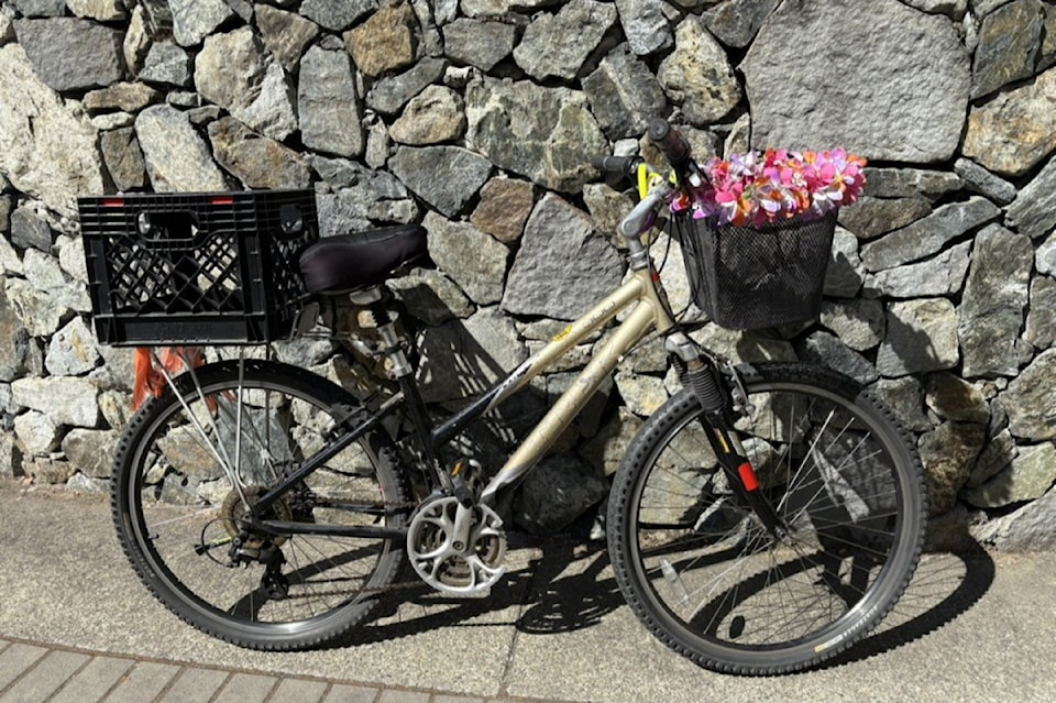 stolenbikereturned