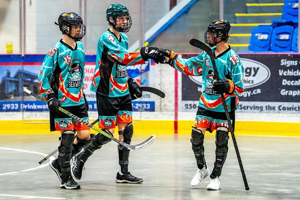 250618-vne-ballhockey