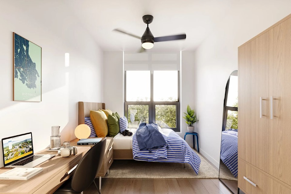 An inside look at the co-living spaces at Neighbour co-living. 