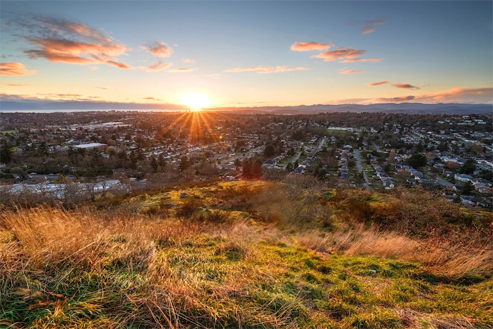 1-mt-tolmie-view