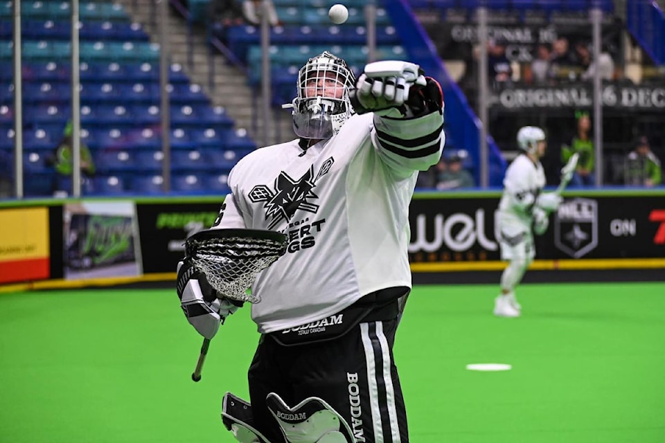Justin Geddie preparing to tend the crease with the Las Vegas Desert Dogs.