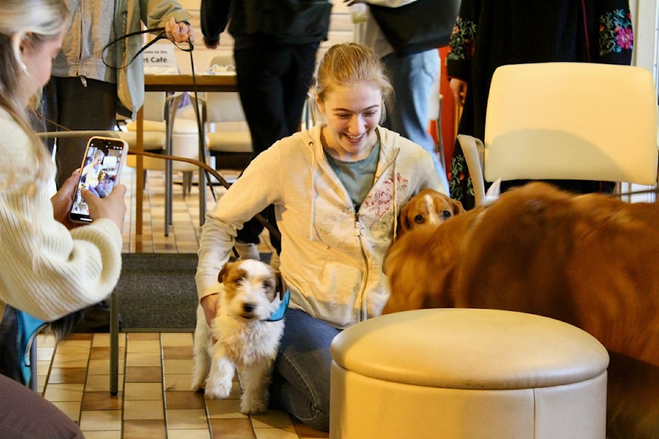 Pet Cafe has run at the Multifaith Centre at UVic for the past seven years.