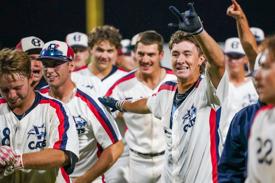 2500505-vne-harbourcats