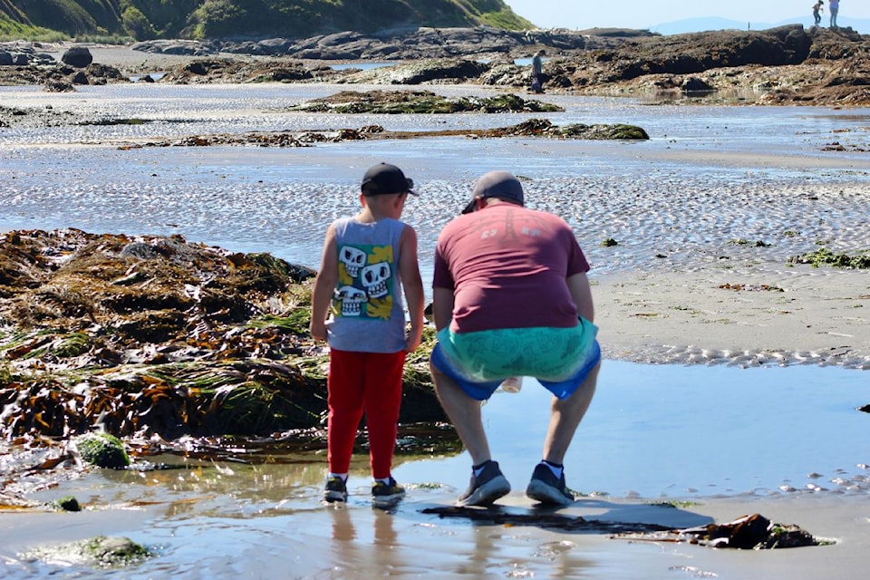 Beachcombers peer into a tidepool along the shoreline near the Breakwater on Dallas Road.