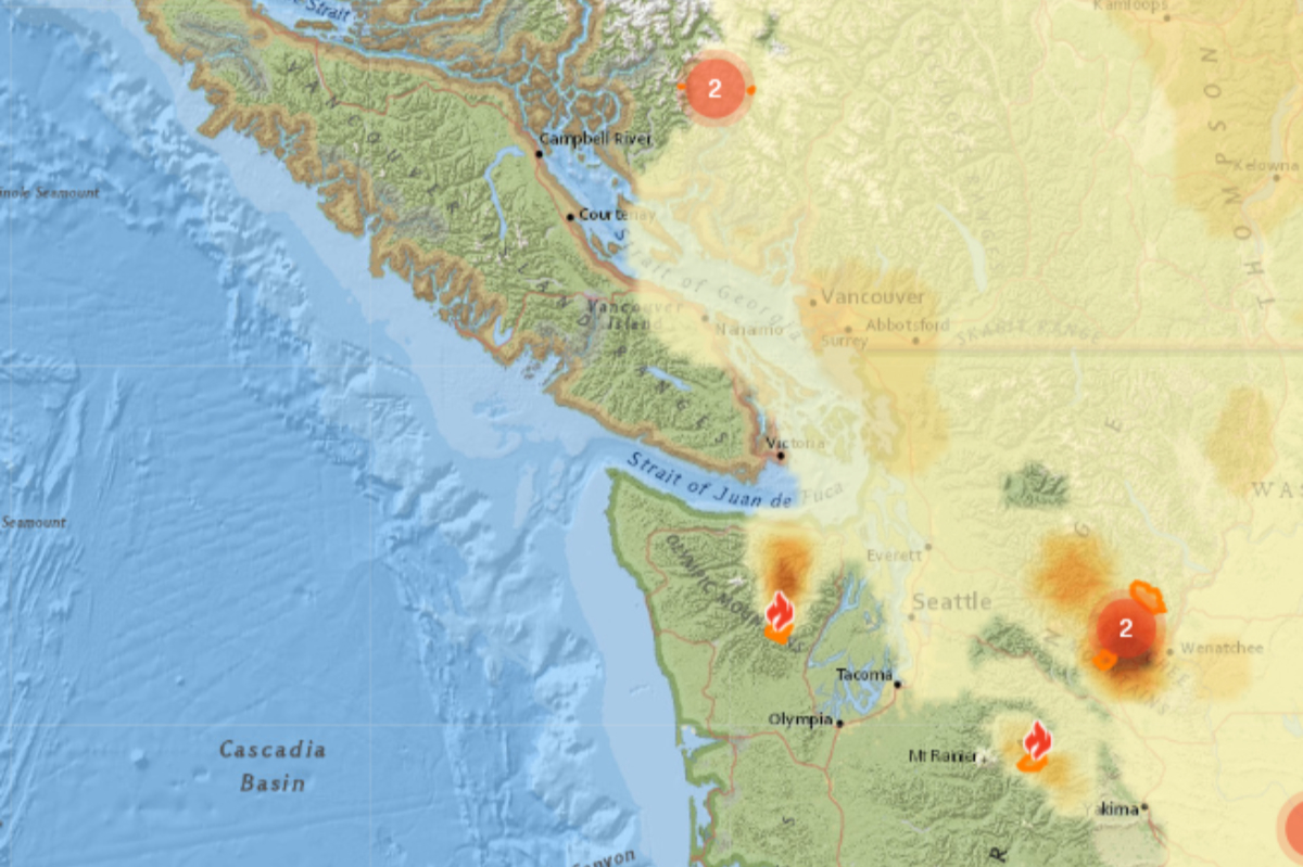 洋書 VOLCANIC  SUCCESSIONS feart-10-906782-g006.jpg