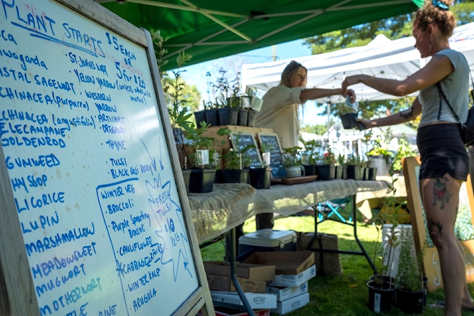 240806plant-sale-photo