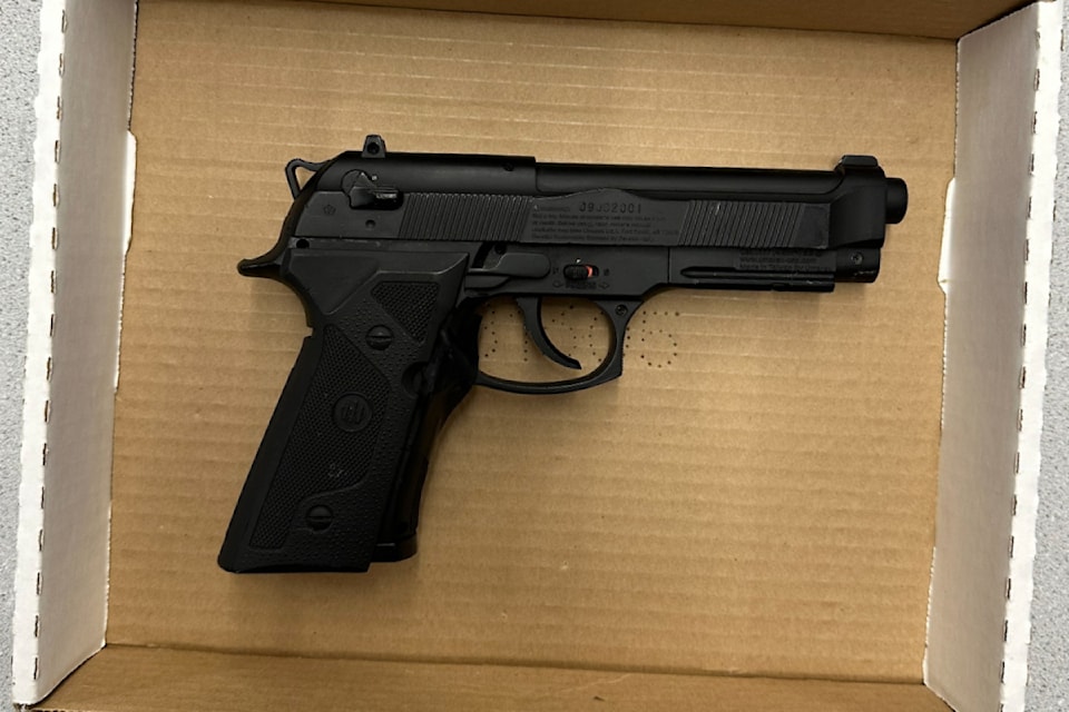 fakegun