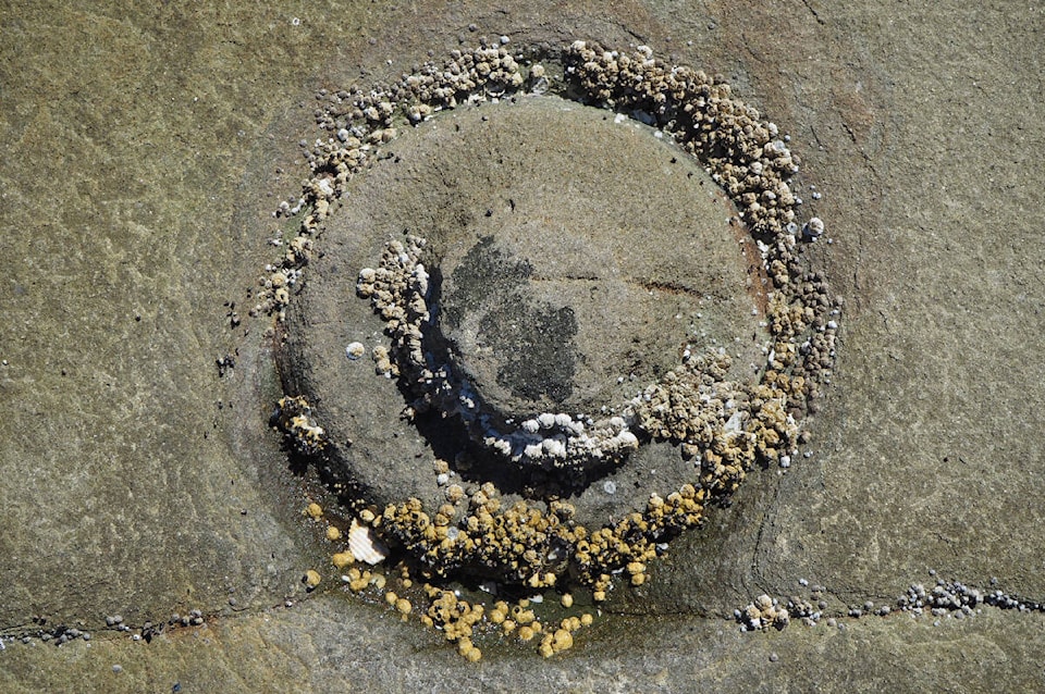 web1_230713-nbu-sandstone-concretions-_1