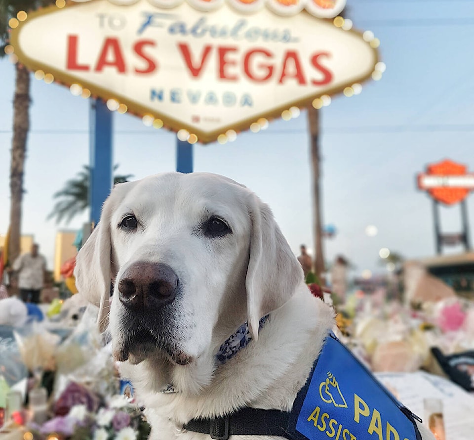 web1_171019-ndr-m-caber-in-las-vegas