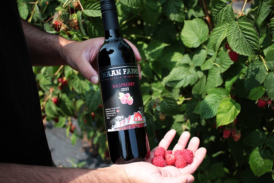 web1_230701-bpd-harvest-maan-farms-best-fruit-wine_13