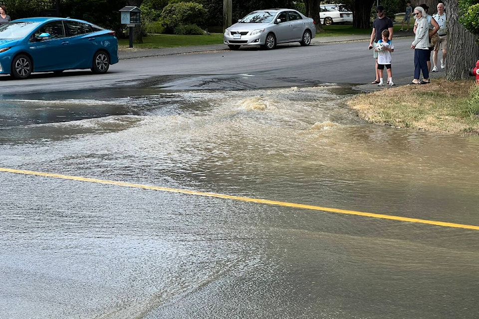 Water floods near Estevan Avenue after an Aug. 6 water main break. (Hampshire/Twitter) 