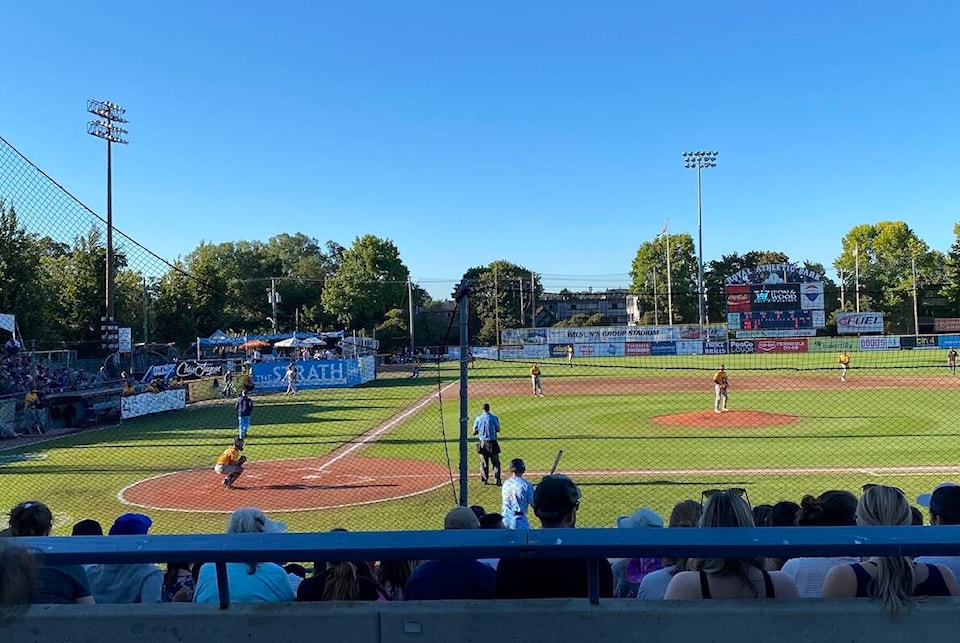 web1_230810-vne-harbourcats-harbourcast_1