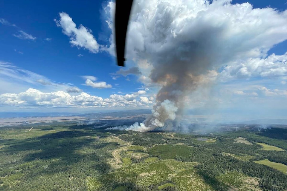 web1_230817-kcn-rossmoore-_1