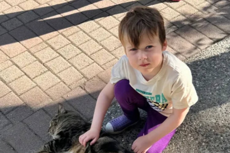 web1_230822-vne-bashlosescancerbattle-gofundme_1