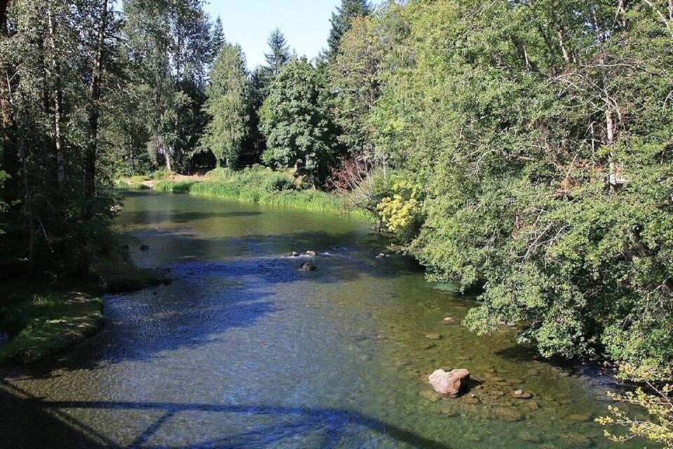 web1_230831-cci-more-water-restrictions-koksilah-cowichan-picture_1