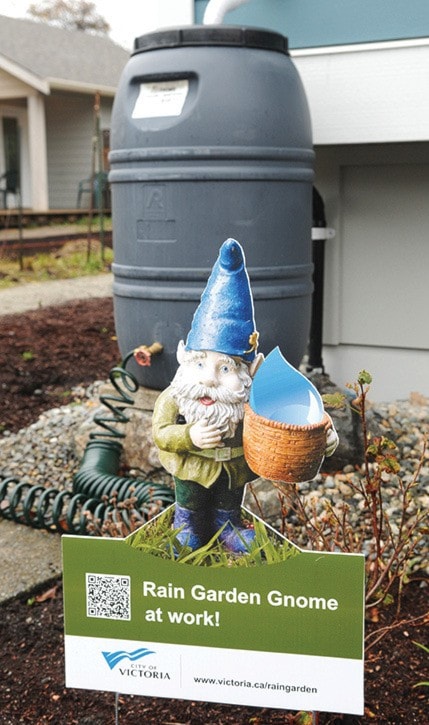 Rain Garden Gnome 3