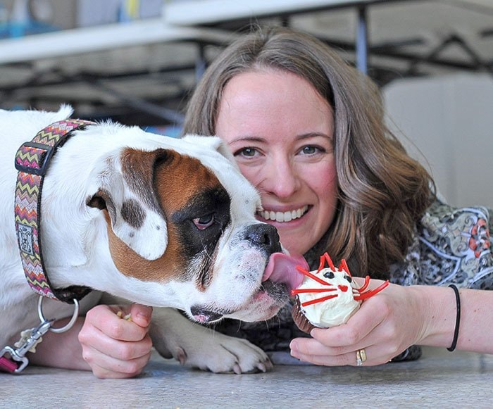 SPCA Cupcake Day