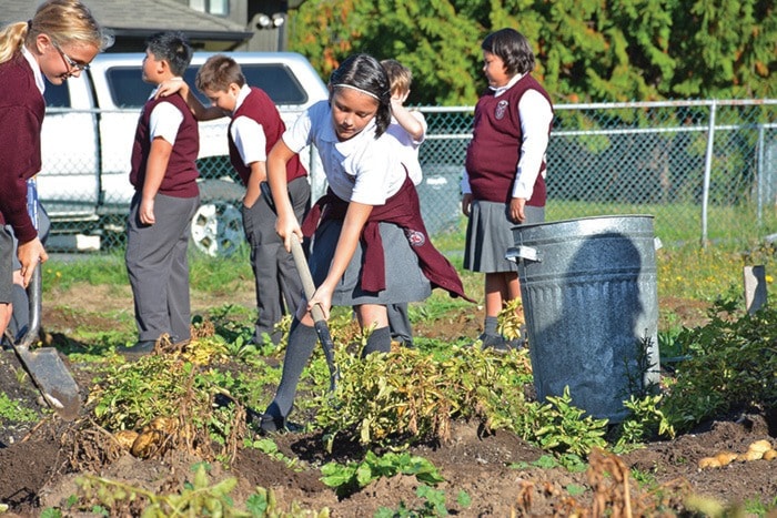 St. Joseph's elementary