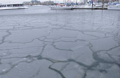 Inner Harbour Freezes SA