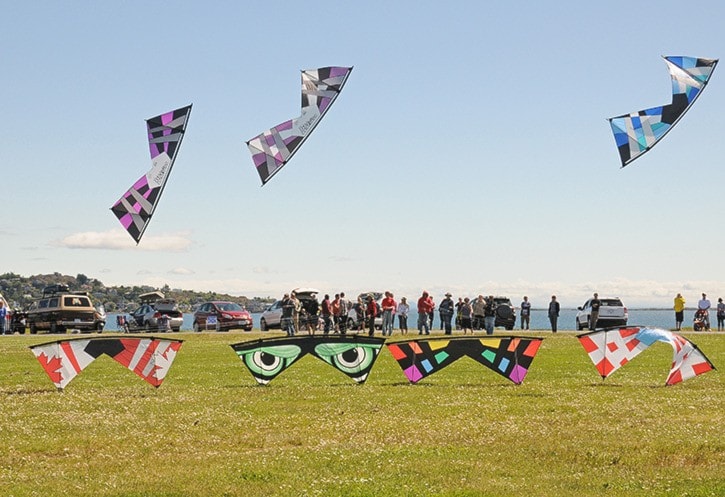 Kite festival preview