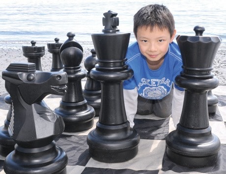 Beach Chess Festival