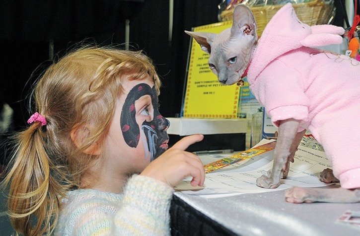 Pet Expo