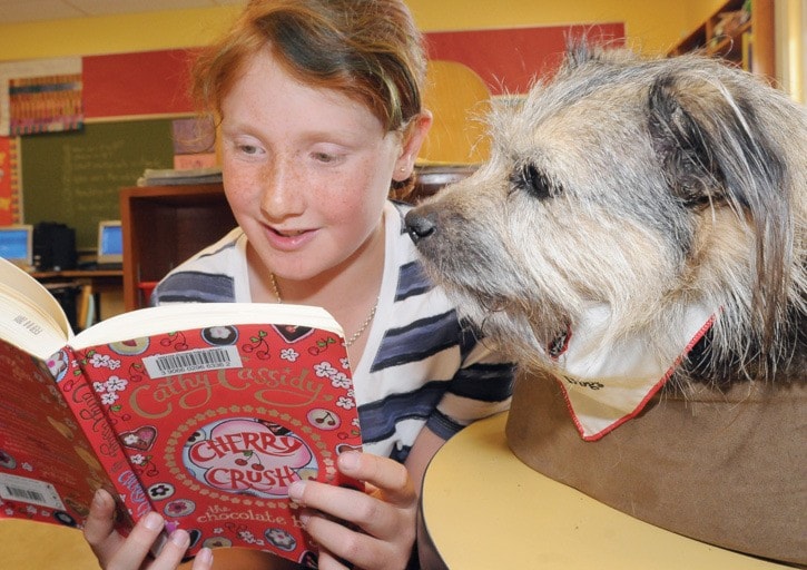 Pet Therapy Dog