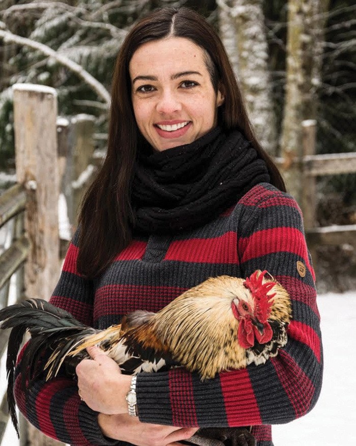 Bee and chicken rentals