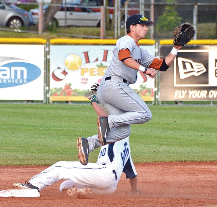 34056vicnewsVN-Harbourcats2CROP-2PJune1314