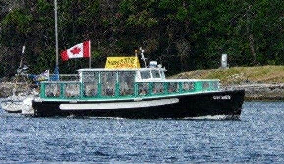 454goldstreamwaterferry2