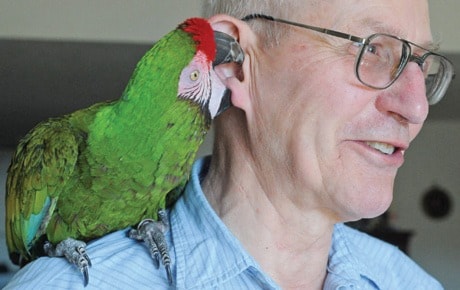 Bird on Shoulder 1