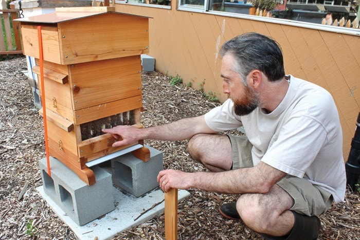 Bee hives