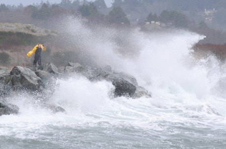 Oak Bay Marina Waves