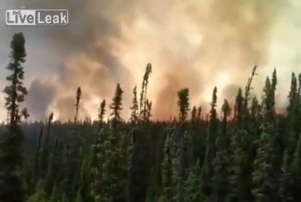 56550BCLN2007QuebecWildfiresPhoto-LiveLeak