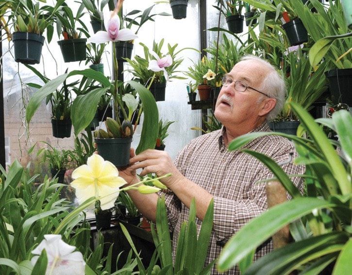 Orchid Grower- Poul Hansen