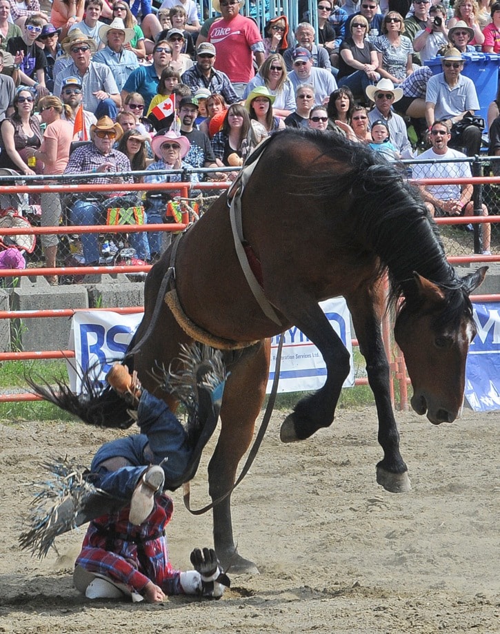 Luxton Rodeo