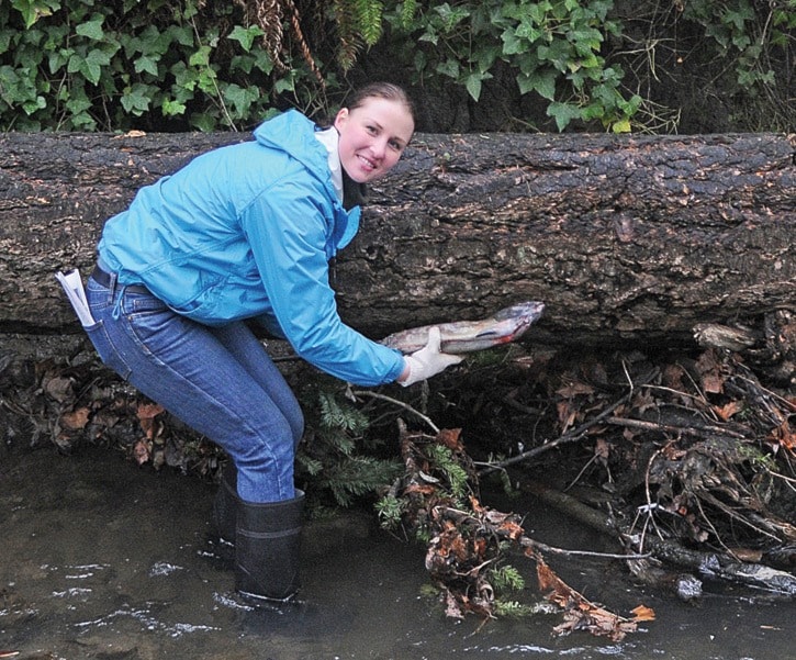 Carcass transplant at Mount Doug