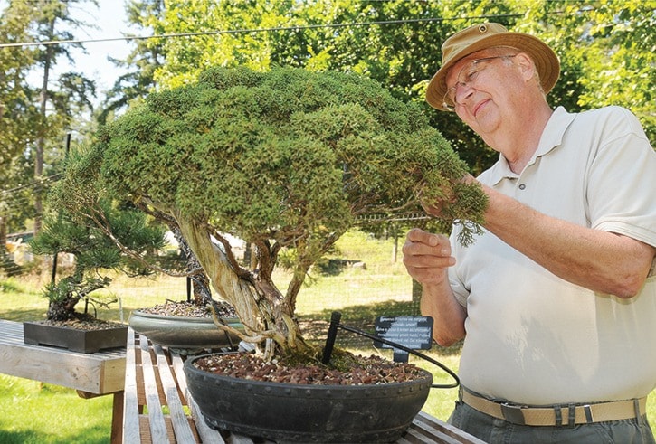 HCCP Bonsai Garden