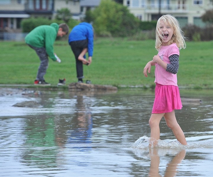 Gyro Park puddles