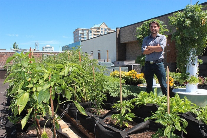 69534vicnewsRooftopgarden-WEB