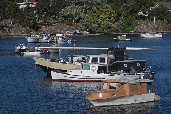 Harbour Boats 1