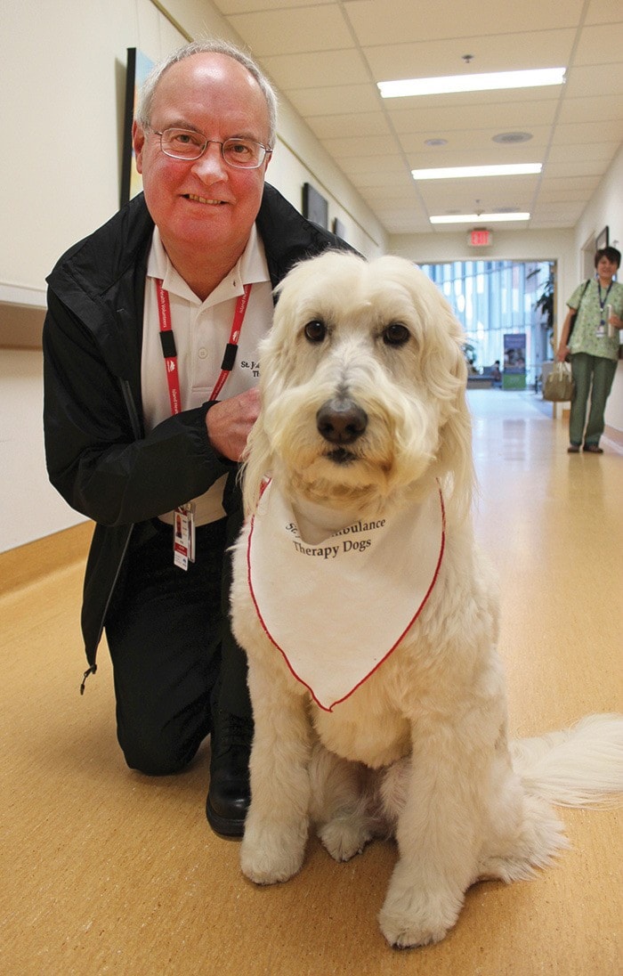 Therapy dogs